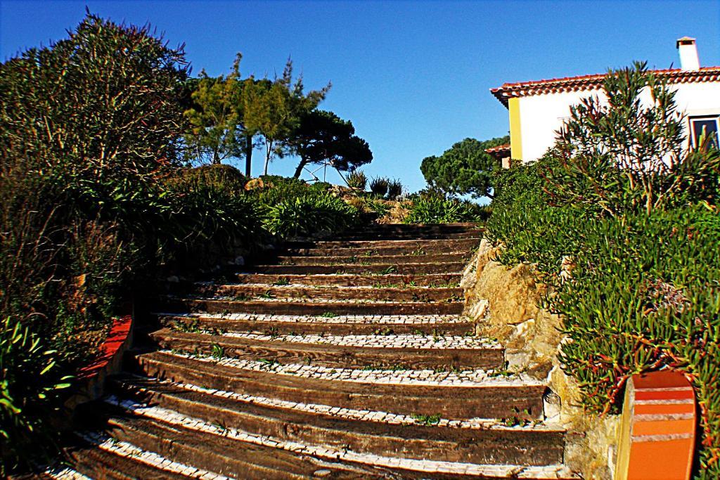 Maison d'hôtes Quinta Da Torre - Obidos Country House Extérieur photo